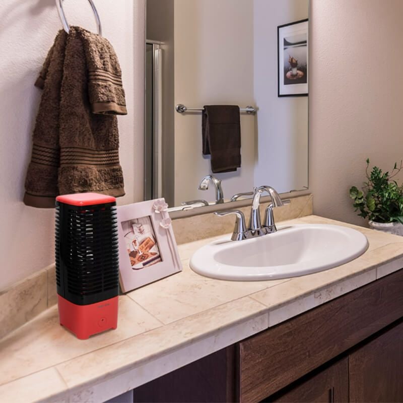  Ionic Little/イオニックリトル