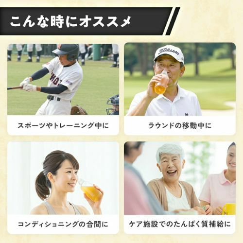 麦茶プラス 粉末スティックタイプ